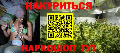 прущие грибы Можайск