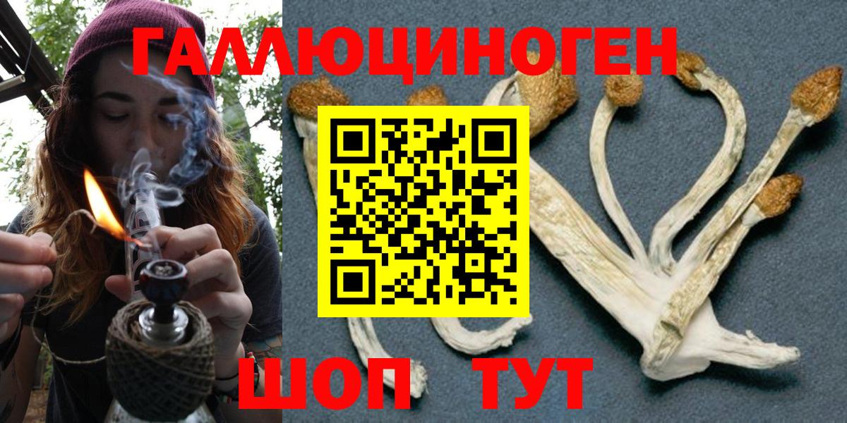 Тара  Псилоцибиновые грибы Cubensis  Вход с VPN 
